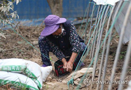 태풍 소식에 걱정 가득한 구례 이재민(구례=연합뉴스) 천정인 기자 = 제8호 태풍 '바비'가 다가오고 있는 25일 오전 전남 구례군 구례읍 양정마을에서 수해로 집을 잃은 한 이재민이 살림살이를 모아둔 시설물을 단단히 결박하고 있다. 군은 태풍으로 지낼 곳이 마땅치 않은 주민들에게 임시 숙소를 제공할 예정이다. 2020.8.25 iny@yna.co.kr