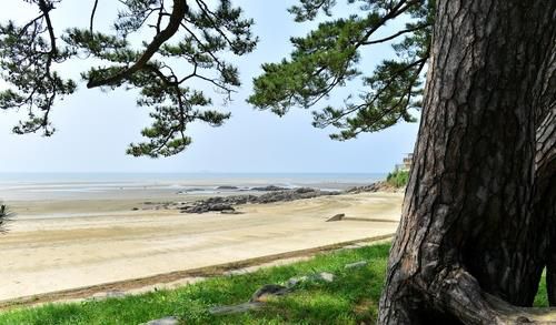 고창 동호해수욕장[연합뉴스 자료사진]