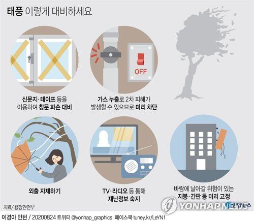 [그래픽] 태풍 이렇게 대비하세요(서울=연합뉴스) 김영은 기자 = 0eun@yna.co.kr