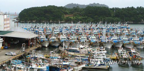 역대급 강풍 예보에 제주 어선 2천척 대피(서귀포=연합뉴스) 박지호 기자 = 제주가 25일 밤부터 제8호 태풍 '바비'의 영향권에 접어들 것으로 예상되면서 이날 오후 서귀포항에 많은 어선들이 대피해 있다. 2020.8.25 jihopark@yna.co.kr