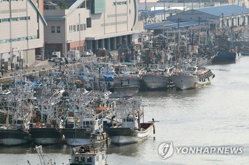 8호 태풍 '바비'를 피해(군산=연합뉴스) 강한 바람을 동반한 제8호 태풍 '바비'가 북상 중인 25일 전북 군산 내항에 어선들이 대피해 있다.  [전북 군산해양경찰서 제공. 재판매 및 DB 금지] warm@yna.co.kr