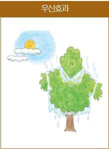 나무의 우산효과[국립산림과학원 제공. 재판매 및 DB 금지]