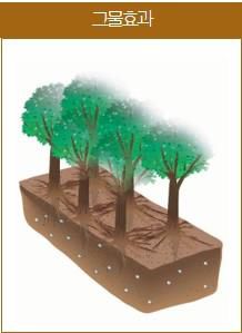 나무뿌리의 그물 효과[국립산림과학원 제공. 재판매 및 DB 금지]