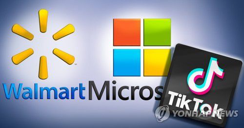 틱톡 인수전에 참여한 기업들(PG)[장현경 제작] 일러스트