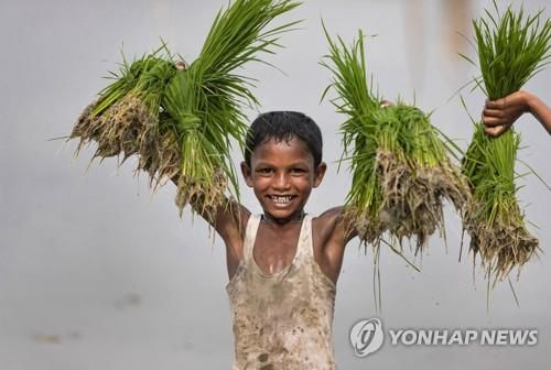 인도 프라야그라지에서 농사일을 돕는 어린이. [AP=연합뉴스]