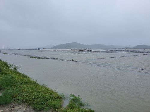 물바다 된 염전[독자 제공·재판매 및 DB 금지]