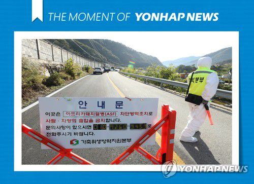 [모멘트] 화천서 아프리카돼지열병 발생…농가 통제(화천=연합뉴스) 양지웅 기자 = 강원 화천군의 한 양돈 농가에서 아프리카돼지열병(ASF) 발생이 확인된 9일 오전 해당 농가에서 방역당국 관계자들이 해당 농장 입구를 통제하고 있다. 2020.10.9   [THE MOMENT OF YONHAPNEWS] yangdoo@yna.co.kr