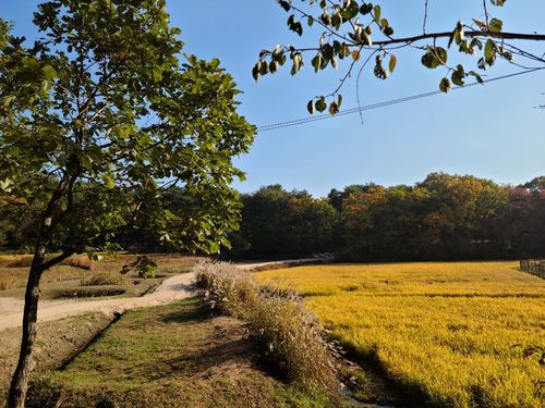 남양주 홍릉·유릉의 전통 수목 양묘장 사잇길[문화재청 제공. 재판매 및 DB 금지]