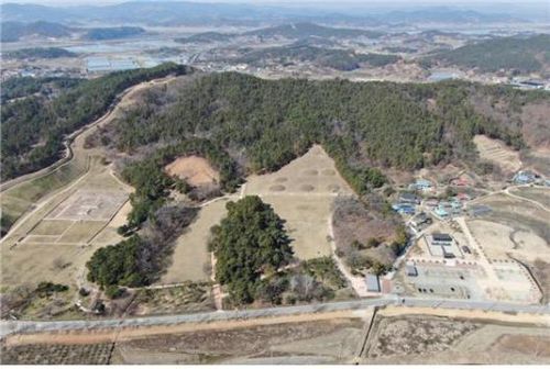부여 능산리 고분군[문화재청 제공]