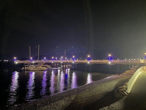 아이폰12 프로로 찍은 야간 사진[촬영 채새롬]