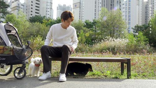 [모노튜브 제공. 재판매 및 DB 금지]