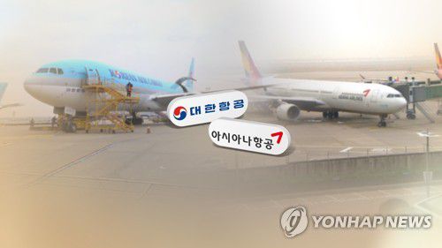 대한항공, 아시아나 인수 검토…산은 "여러 옵션 검토" (CG)[연합뉴스TV 제공]