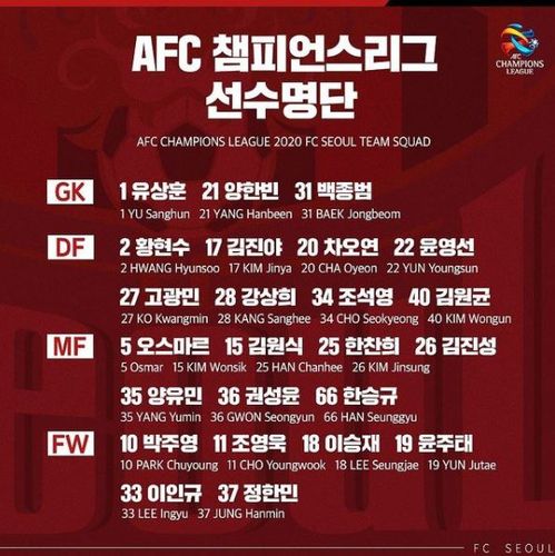 FC서울 AFC 챔피언스리그 출전 선수 명단[FC서울 인스타그램 캡처. 재판매 및 DB 금지]