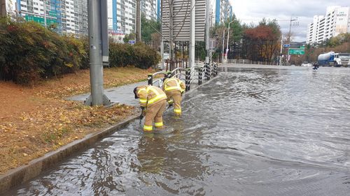 도로 침수에 출동한 소방대원(대구=연합뉴스) 19일 오후 내린 비로 대구 북구 관음동 한 하수구가 역류해 소방대원들이 복구 작업을 펼치고 있다. 2020.11.19 [대구소방안전본부 제공. 재판매 및 DB 금지] sunhyung@yna.co.kr