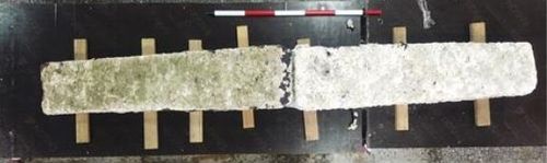 제주 신창리 해역에서 나온 닻돌[국립해양문화재연구소 제공. 재판매 및 DB 금지]