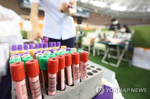 신천지 신도 혈장공여[연합뉴스 자료사진]