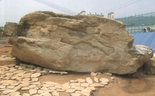 2007년 발견 당시 구산동 지석묘[경남 김해시 제공. 재판매 및 DB 금지]