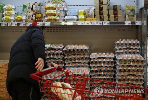 '요즘 달걀 얼마?'(서울=연합뉴스) 박동주 기자 = 국내 가금농장에서 고병원성 조류인플루엔자(AI)가 꾸준히 발생하면서 달걀 가격이 오른 12일 오후 서울의 한 대형마트 달걀 판매대. 2021.1.12 pdj6635@yna.co.kr
