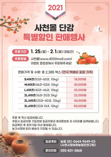 사천몰 단감 특별할인 판매[사천시 제공. 재판매 및 DB 금지]