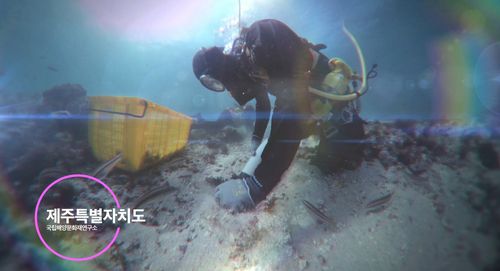 제주 신창리 해역 수중발굴조사 현장 360도 VR 영상[국립해양문화재연구소 제공. 재판매 및 DB 금지]