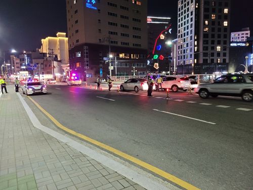 음주운전 단속 벌이는 부산경찰[부산경찰청 제공. 재판매 및 DB 금지]