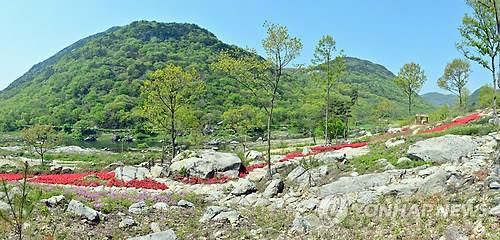 순창 용궐산 일대[순창군 제공. 재판매 및 DB 금지]