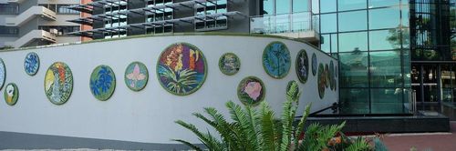 올리베이라 교수의 트위터 사진[트위터 캡처, 재판매 및 DB 금지]