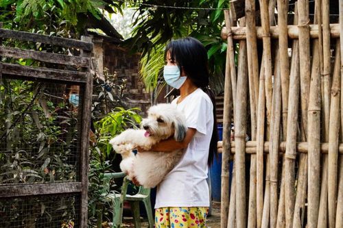 강아지 안고 관사에서 이사하는 소녀[이라와디·재판매 및 DB 금지]