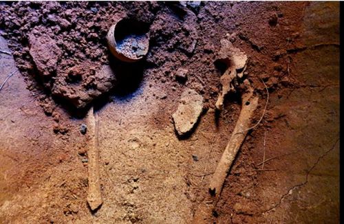 옹관묘 내부서 확인된 유골[영암군 제공·재판매 및 DB 금지]