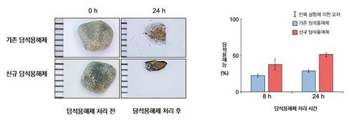 화학연 개발 담석 용해제의 우수한 효능[한국화학연구원 제공. 재판매 및 DB 금지]