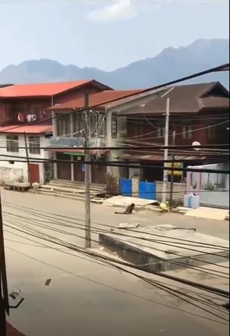 다리에 총을 맞고 길가로 피하기 위해 기어가는 시민. 2021.4.17[SNS 캡처. 재판매 및 DB 금지]