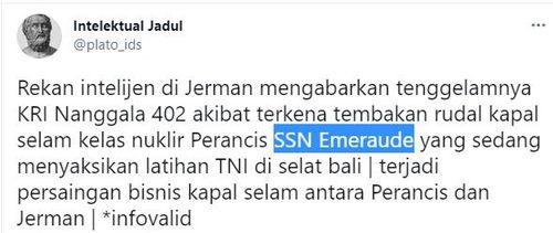 "낭갈라함, 프랑스 잠수함에 격침"…가짜뉴스 [트위터 @plato_ids]