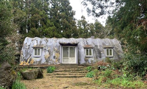 제주 한림읍 금악리 77-4번지 테시폰식 주택[문화재청 제공. 재판매 및 DB 금지]