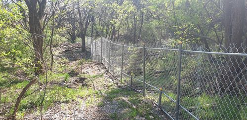 야생 멧돼지 접근 방지 울타리[제천시 제공. 재판매 및 DB 금지]