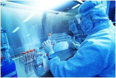 [강스템바이오텍 제공. 재판매 및 DB 금지]