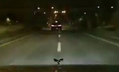 도주 차량 추격[A씨 제공. 재판매 및 DB 금지]