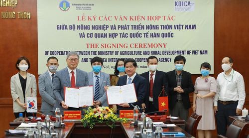 코이카, 베트남 축산 엘리트 육성 지원 코이카는 17일 베트남 농업농촌개발부, 베트남 국립농업대학교와 축산 고등 전문인력 양성을 위한 협의의사록을 체결했다. 조한덕 코이카 베트남 사무소장(앞줄 좌측) 레 꿔 조아인베트남 농업농촌개발부 차관. [코이카 제공]