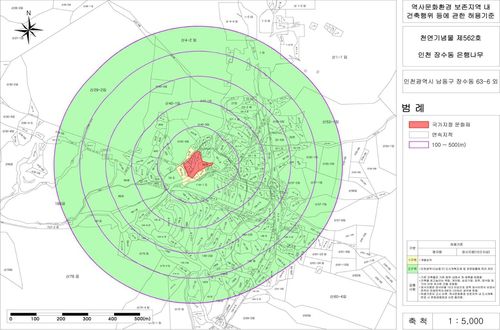 인천 장수동 은행나무 역사문화환경 보존지역[인천시 남동구 제공. 재판매 및 DB 금지]