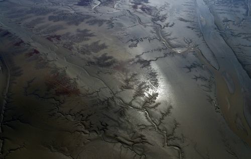 고창 갯벌[문화재청 제공. 재판매 및 DB 금지]