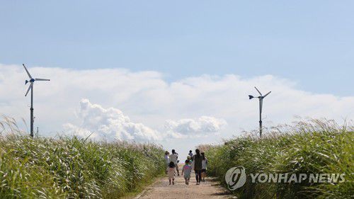 가을의 난지도 하늘공원[연합뉴스 자료사진]