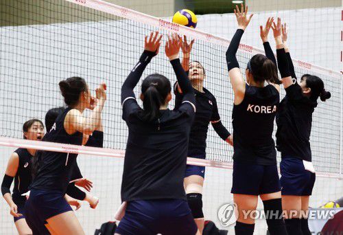 [올림픽] ‘공격하는 표승주’(도쿄=연합뉴스) 윤동진 기자 = 지난 5일 오후 일본 시오하마시민체육관에서 열린 도쿄올림픽 대한민국 배구 국가대표팀 훈련에서 표승주가 공격하고 있다. [연합뉴스 자료사진]