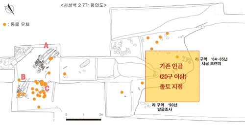 경주 월성 인골 출토 상황[국립경주문화재연구소 제공. 재판매 및 DB 금지]