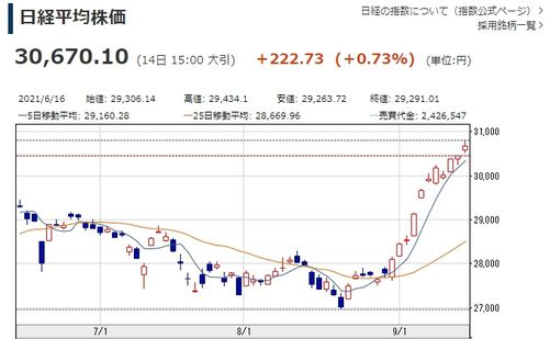 닛케이225 3개월 추이 그래프. [시황 페이지 캡처]