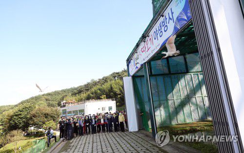 제4회 창녕 우포 따오기 야생방사(창녕=연합뉴스) 김동민 기자 = 14일 오후 경남 창녕군 우포따오기복원센터에서 열린 '제4회 우포 따오기 야생방사' 행사에서 방사된 따오기가 힘차게 가을 하늘을 날고 있다. 2021.10.14 image@yna.co.kr