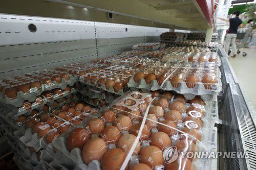 달걀 가격 상승[연합뉴스 자료사진]