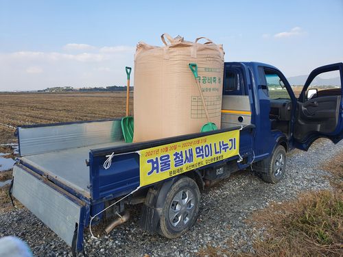 겨울 철새 먹이 나누기[서산시 제공. 재판매 및 DB 금지]