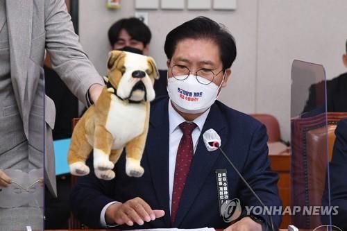 대장동 개발은 양두구육(서울=연합뉴스) 이정훈 기자= 3일 오후 국회에서 열린 국토교통위원회 전체회의에서 국민의힘 송석준 의원이 대장동 의혹 국정조사를 촉구하며 '양두구육' 인형을 가지고 나오고 있다. 2021.11.3 [국회사진기자단]     uwg806@yna.co.kr