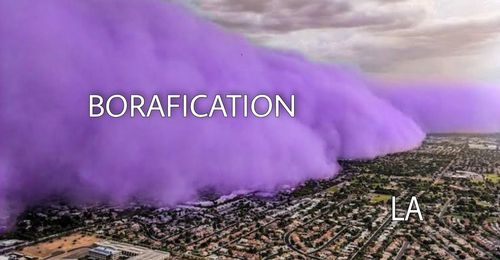 BTS의 LA 콘서트와 팬들이 도착하는 상황을 묘사한 밈[트위터 게시물 캡처. 재판매 및 DB 금지]