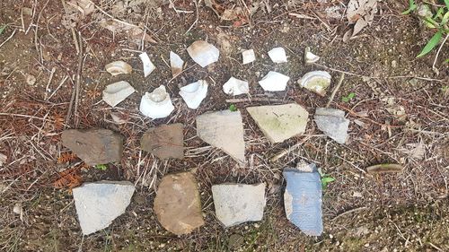 도포서원 옛 부지서 발견된 유물[춘천시 제공.재판매 및 DB 금지]