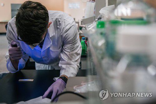 코로나 검체 검사 중인 美연구원2021년 8월 13일 미국 텍사스 휴스턴의 한 연구시설에서 신종 코로나바이러스 감염증(코로나19) 진단을 위한 유전자 증폭 검사 작업을 하는 직원의 모습.  [AFP 연합뉴스자료사진, 재판매 및 DB 금지]